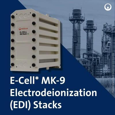 Ε-Cell MK-9 EDI Stack για την παραγωγή νερού υψηλής καθαρότητας με εύρος ροής 18,5-44,0 GPM και χωρίς χημική αναγέννηση στο ανοξείδωτο χάλυβα