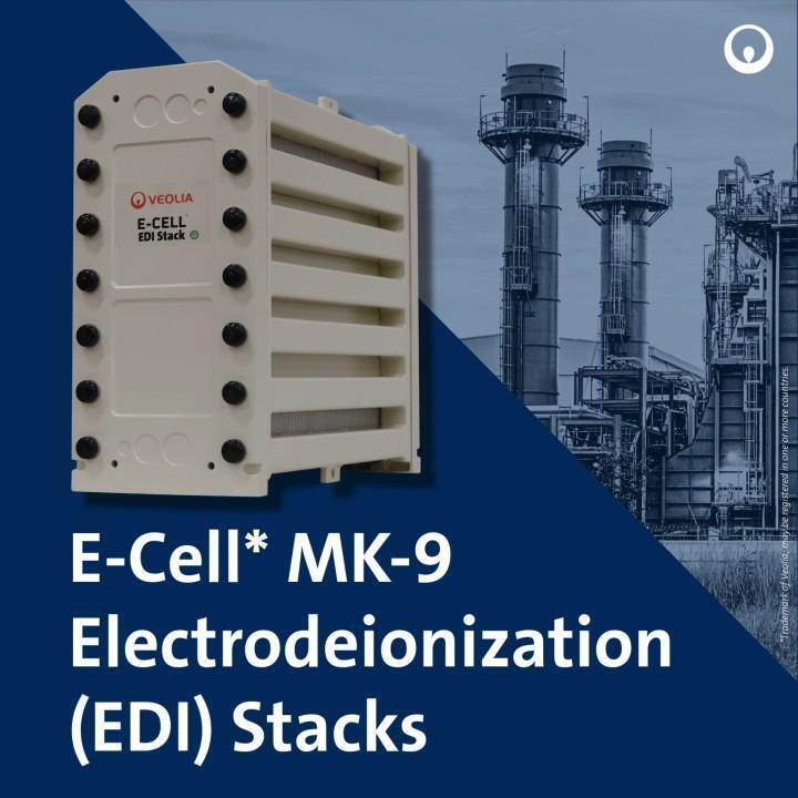 Ε-Cell MK-9 EDI Stack για την παραγωγή νερού υψηλής καθαρότητας με εύρος ροής 18,5-44,0 GPM και χωρίς χημική αναγέννηση στο ανοξείδωτο χάλυβα